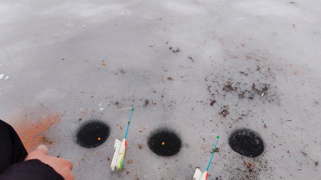 БЕШЕННЫЙ клев ПЛОТВЫ НА ЗИМНЕЙ РАБАЛКЕ 2024 смотреть онлайн