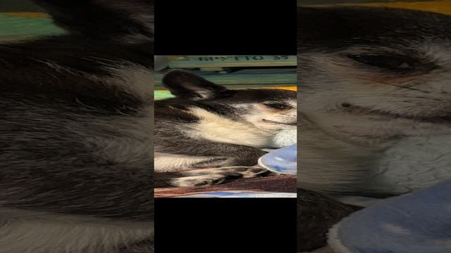 2022-10-20