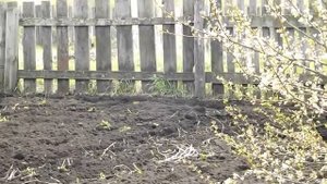 Культиватор бензиновый Элитек КБ 60