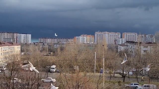 ?Новороссийск. Ремонт. Наливной пол. Град.Гроза.Кормим чаек из окна...