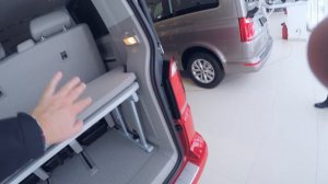 VW Multivan T6. Плод нашей любви )