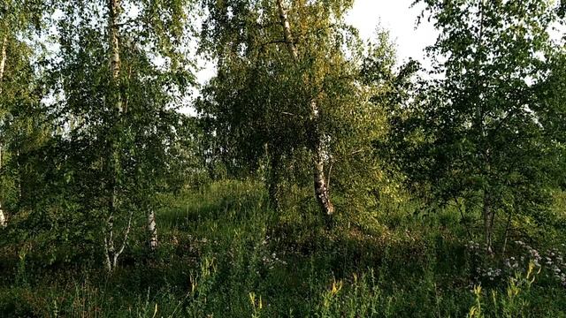 24 июня.ВАРФОЛОМЕЕВ ДЕНЬ. Приметы, обряды и ритуалы, традиции и обычаи. смотреть онлайн