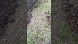 Фрезы целина по целине