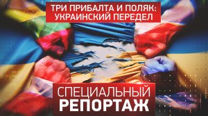 Три прибалта и поляк: украинский передел