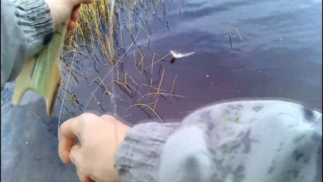 Печора.Рыбалка на р.Кожва. 1 день/Рыбалка Севера.