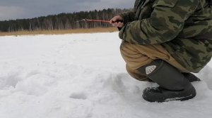 Рыбалка на окуня на озере Иртяш 24.03.2021г.