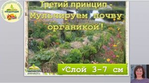 Принципы Природного ЗемлеДелия кратко и чётко