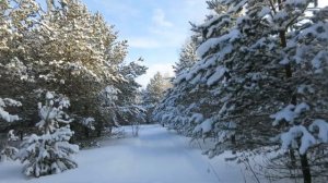 Порт Весьегонск: лыжная трасса. Как в сказке "Морозко"!