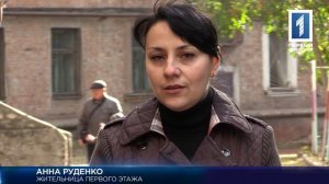 Земляные блохи в доме