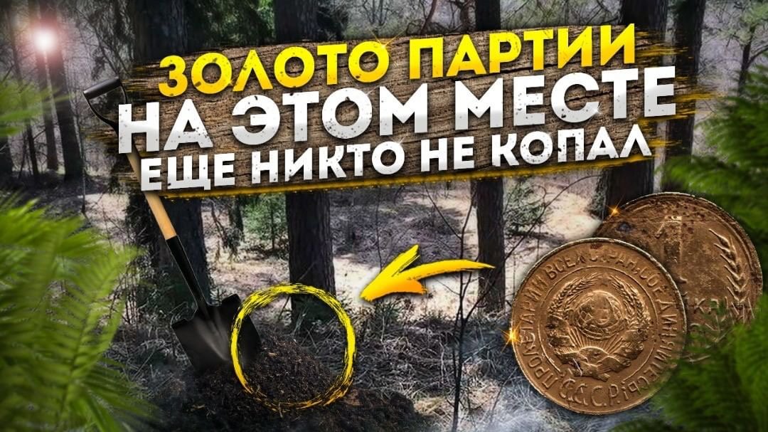 Золото партии. На этом месте еще никто не копал.