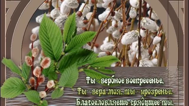 Поздравление с Вербным Воскресеньем. Музыкальная открытка