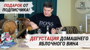 Дегустация домашнего яблочного вина! Три напитка из яблок,  которые мне подарил подписчик.