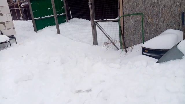 Анонс//ОБЬЯВЛЕНИЕ ПО ПРОПОЙКАМ СХ ПТИЦЫ. ИНДЮКИ, БРЛЙЛЕР, ЦЫПЛЯТА смотреть онлайн