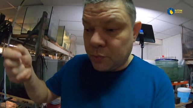 Разбил Ваш Ювель смотреть онлайн