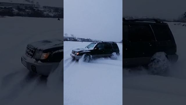 Subaru Forester. Субару форестер. смотреть онлайн