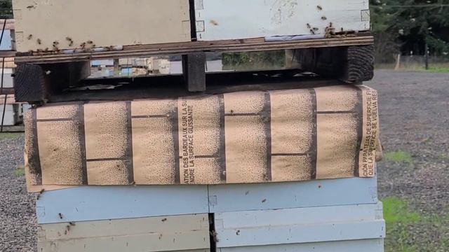 29 ноября хороший облет перед Калифорнией смотреть онлайн