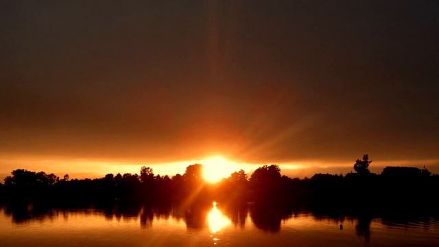 Elegy смотреть онлайн