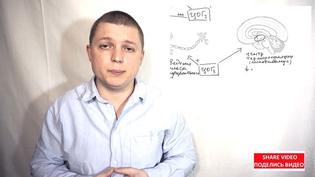 Чем же опасен прием | НПВС | ОБЕЗБОЛИВАЮЩИЕ смотреть онлайн