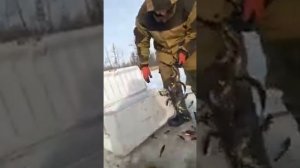 Сети, полные гольяна