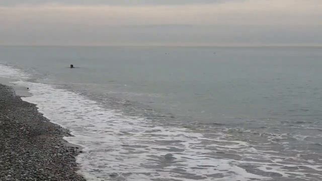 Моё возвращение в строй. Пляж Морская звезда. Лазаревское Сочи. Воздух и вода+20 С. 25 октября 2023
