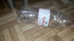 Как избавиться от мышей в домовладение за 03 секунды!