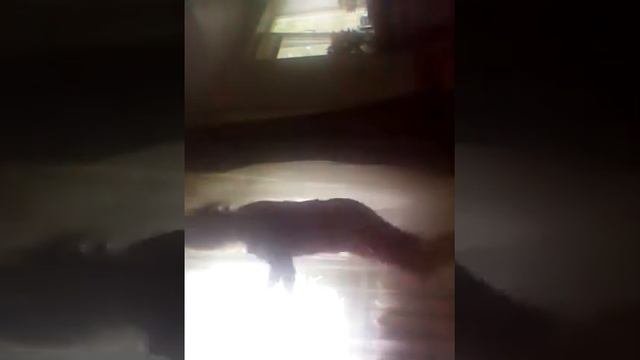 Каналы сердечко моего любимого каналу сердечко это невозможно Я думаю но загляните каналы сердечко