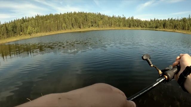 ТАЕЖНОЕ ОЗЕРО ,ГДЕ ИЗ РЫБЫ ТОЛЬКО ЩУКА. ПОДВОДНЫЕ СЬЕМКИ. КАК РАЗГАДАТЬ СЕКРЕТ ЭТОГО ОЗЕРА.