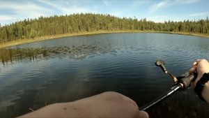 ТАЕЖНОЕ ОЗЕРО ,ГДЕ ИЗ РЫБЫ ТОЛЬКО ЩУКА. ПОДВОДНЫЕ СЬЕМКИ. КАК РАЗГАДАТЬ СЕКРЕТ ЭТОГО ОЗЕРА.