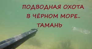 Подводная охота Чёрное море, Тамань, поселок Волна