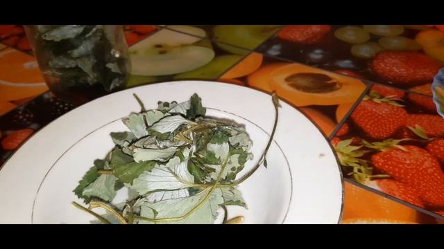 Вкусный фруктовый чай из листьев. Быстрая ферментация. смотреть онлайн