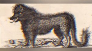 жеводанский зверь VS животные хищники, людоеды