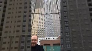 человейник обыкновенный