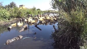 Новый асфальт Село Журавское Иван Улыбашев