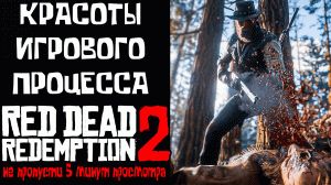 Red Dead Redemption 2 | КРАСОТЫ ИГРОВОГО ПРОЦЕССА | ИГРОГРАФИЯ