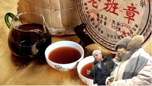 Чай Пуэр Как мы выбирали Шу и Шен