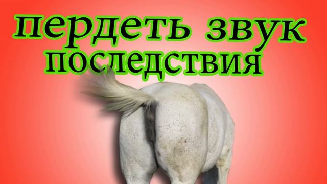 пердеть звуковые эффекты #12