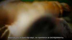 Человек стали: как Генри Бессемер перевернул металлургию