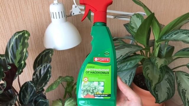 Удобрения для Комнатных Растений » Мои Фавориты