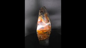 Аммолит - перламутр ископаемого аммонита. Ammolite. Симбирцит.рф