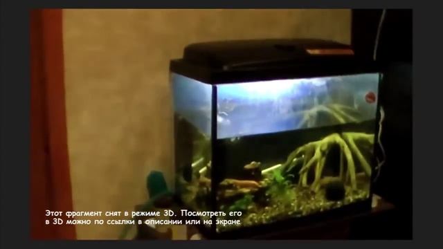 Снимаем реал 3D видео на обычную камеру! смотреть онлайн