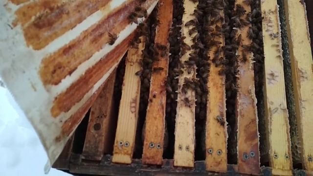 Сравним две семьи . Как сели клубы . смотреть онлайн