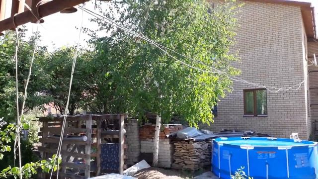 #огородныедела #житьвКазани. серия 2? Купила семена в Пятёрочке ?