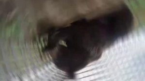 Антиреспект.Быть добру!