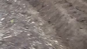 окучиваем картофель самодельный адаптер для мотоблока