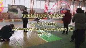 Тверь 24 03 2019 часть 1.mp4