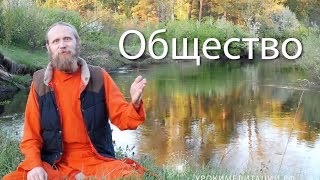 Общество