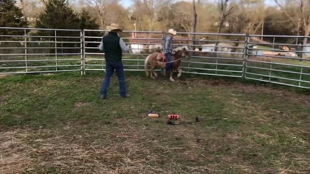 “Pony Training 101” Cowboy Goes a Flyen @Bar6 Ranch смотреть онлайн