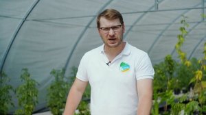 Эликсир для ягод от Органик Микс / Подробно о продукции Органик микс
