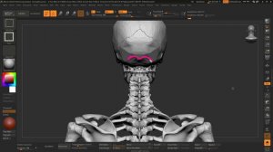 26_Кости шеи для создания #3d_персонажей