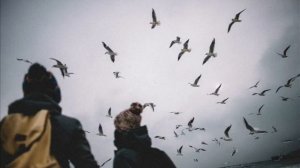 Каспийский груз - Так хочется остаться
